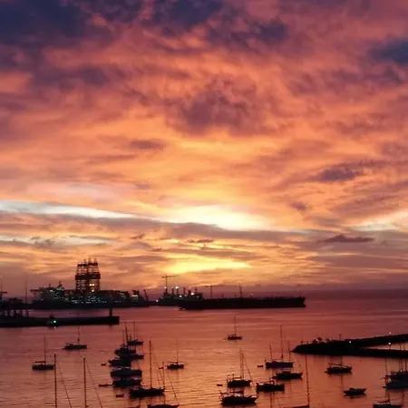 Calandria Palmas * Лас-Пальмас-де-Гран-Канария